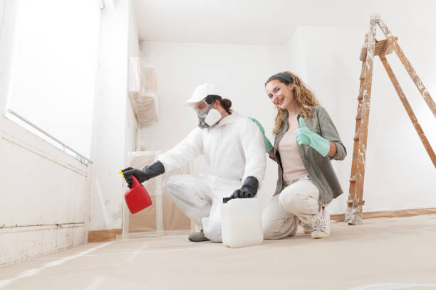 Reliable Wanamassa, NJ Mold Removal Solutions