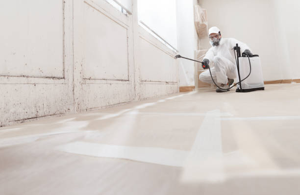 Forensic Mold Investigation in Wanamassa, NJ